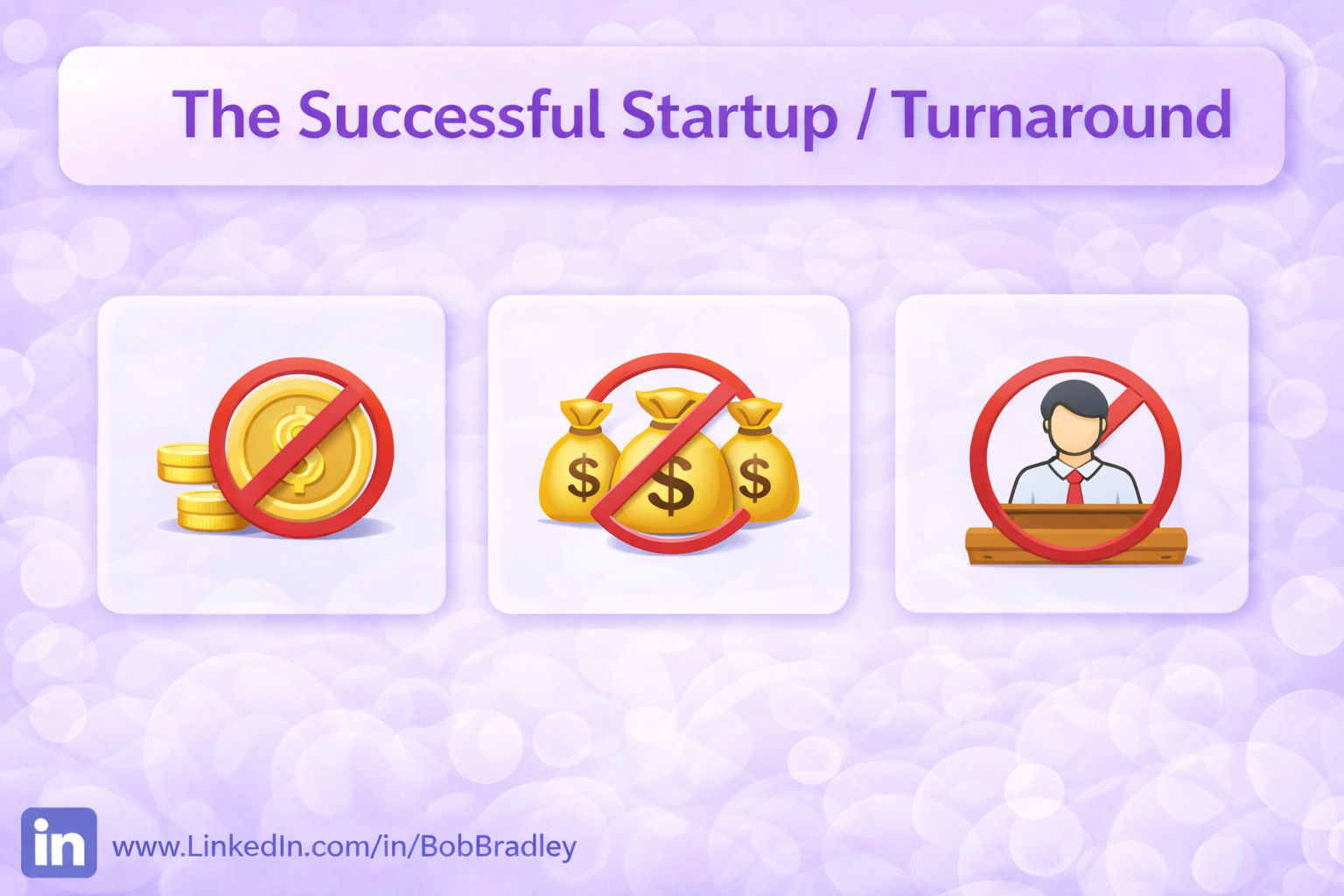 The Successful Startup / Turnaround